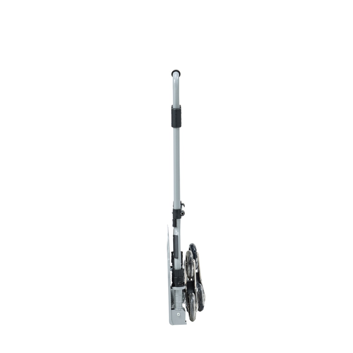 [CART-FA6GY] �ޤꤿ���ߥ���꡼(3�س��������)