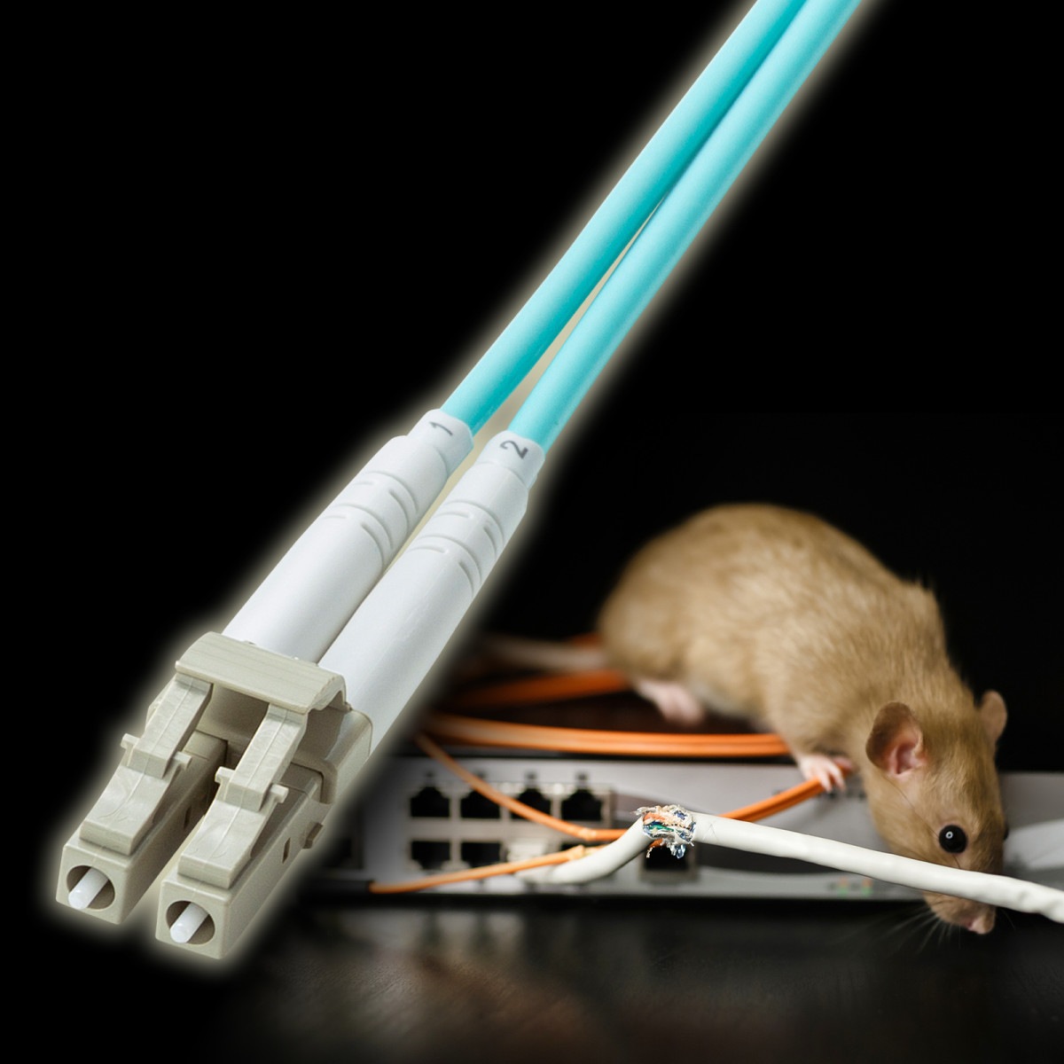 [HKB-HOM3LCLC-05] �䶯�ᥬ�ͷ����ե����Х����֥�(�ޥ��OM3��LC��2-LC��2��5m)