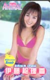 伊藤絵理香 ヤングアニマル
