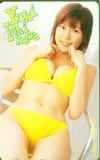 石川夕紀 ヤングチャンピオン