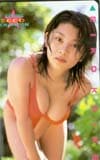 小池栄子 ヤングチャンピオン