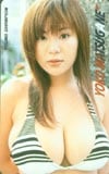 松金洋子 ヤングチャンピオン