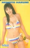 根本はるみ ヤングビンタ
