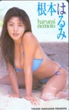 根本はるみ ヤングマガジン
