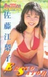 佐藤江梨子 ヤングアニマル