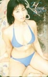 佐藤寛子 ヤングチャンピオン