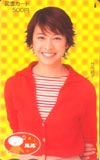 竹内結子 ルル 図書カード