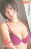 田辺はるか ヤングアニマル
