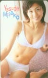 安田美沙子 ヤングチャンピオン