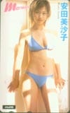 安田美沙子 コミックまぁるまん