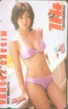 安田美沙子 月刊テレビサル