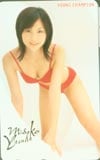 安田美沙子 ヤングチャンピオン