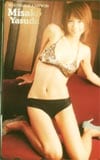 安田美沙子 ヤングチャンピオン