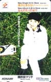 国府田マリ子 風がとまらない/なんでだってば