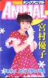 宮村優子 ヤングアニマル