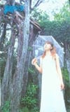 宮村優子 声優グランプリ