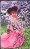桜井智