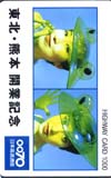 森口博子 0077東北熊本開通記念 ハイウェイカード