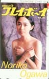 小川範子 プレイボーイ
