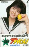 南野陽子 ザテレビジョン 創刊300号