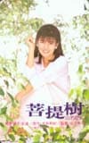 南野陽子 菩提樹