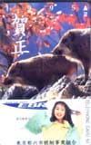 渡辺美奈代 江戸川競艇