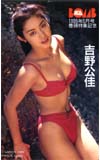 吉野公佳 BOMB