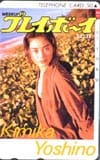 吉野公佳 プレイボーイ