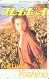 吉野公佳 プレイボーイ 30周年