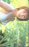 井川遥 ヤングマガジン