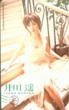 井川遥 ヤングマガジン