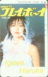 井川遥 プレイボーイ