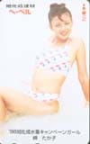 岬たか子 旭化成建材