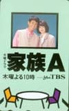 夏川結衣 家族A