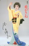 浜木綿子 菊がさね