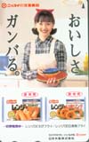 南果歩 ニッスイ