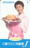 安田成美 三菱チルド冷蔵庫