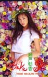 瀬戸朝香 ヤングマガジン
