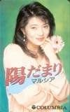 マルシア 陽だまり