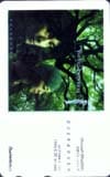 小室哲哉 OVER&OVER