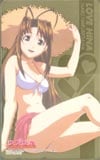 ラブひな ゴールド