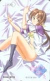 雨あがりの猫たちへ
