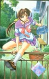 雨あがりの猫たちへ
