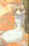 明日もきっと晴れ