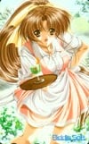 堕ちた花嫁-Vigin Bride-