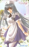 堕ちた花嫁-Vigin Bride-