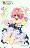 Princess Memory-プリンセスメモリー