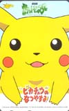 ポケットモンスター ピカチュウのなつやすみ