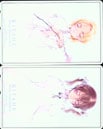 北へ 2枚組