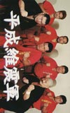 平成維震軍